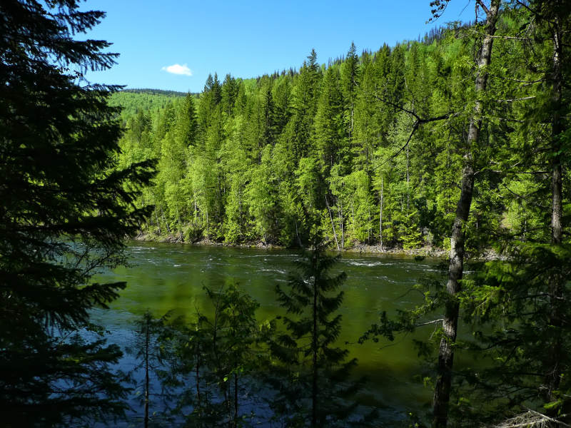 Clearwater River Trail